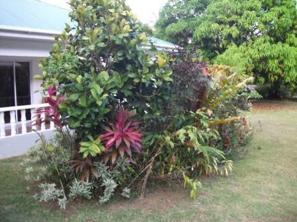 Marl Self Catering Villa Pointe La Rue Exterior foto